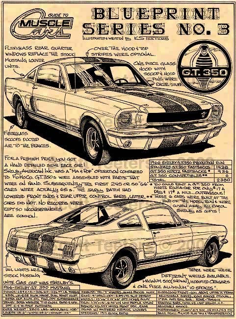 DRIVE Weekly NewsPaper